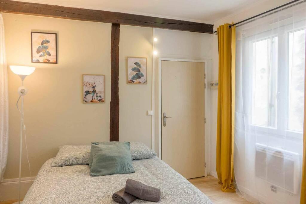 Studio Rue Pietonne Orléans Extérieur photo